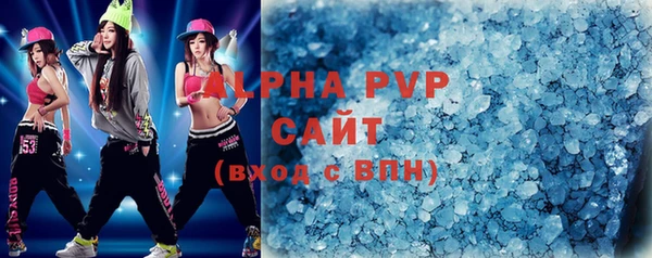 индика Белоозёрский