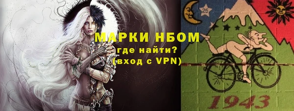 индика Белоозёрский
