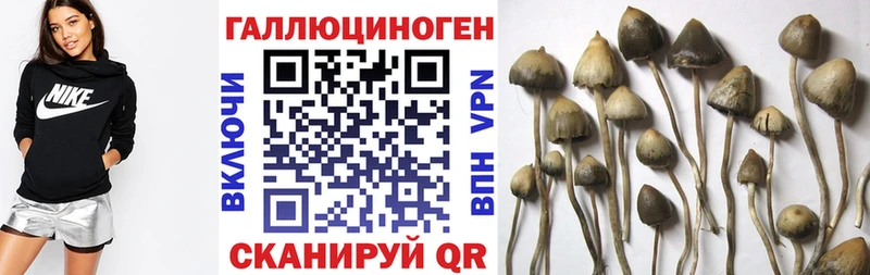 ссылка на мегу ТОР  Курганинск  Галлюциногенные грибы Magic Shrooms 